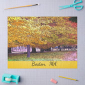 Boston, Massachusetts Herfst Foliage Tissuepapier (Craft)