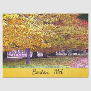 Boston, Massachusetts Herfst Foliage Tissuepapier