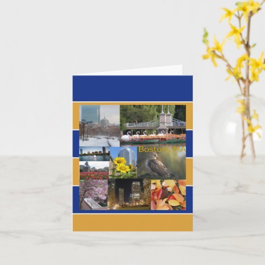 Boston, Massachusetts Kaart (Gele Bloem)