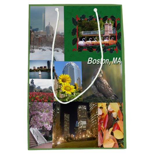Boston, Massachusetts Medium Cadeauzakje (Voorkant)