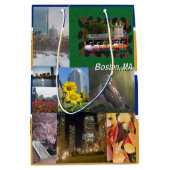 Boston, Massachusetts Medium Cadeauzakje (Voorkant)