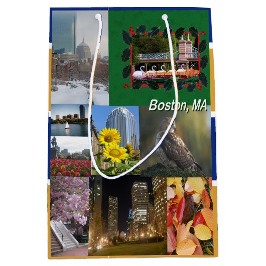 Boston, Massachusetts Medium Cadeauzakje (Voorkant)