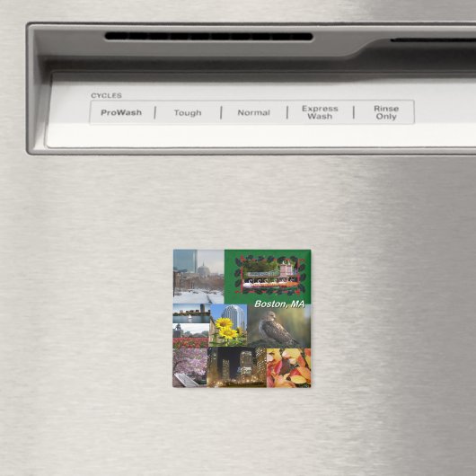 Boston, Massachusetts Photo Collage Magneet (Insitu (Vaatwasser))