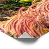 Boston, Massachusetts, Verenigde Staten Poster (Hoek)