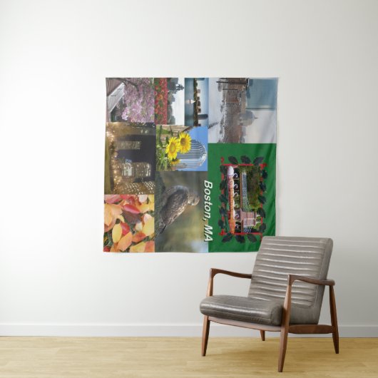 Boston, Massachusetts Wandkleed (In Situ (horizontaal))