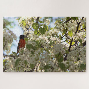 Boston Oriole Legpuzzel