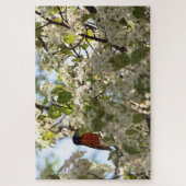 Boston Oriole Legpuzzel (Verticaal)