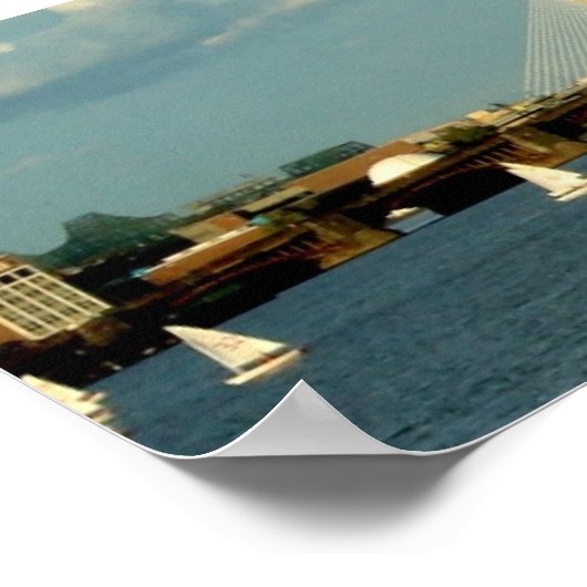 Boston Panorama Poster (Hoek)