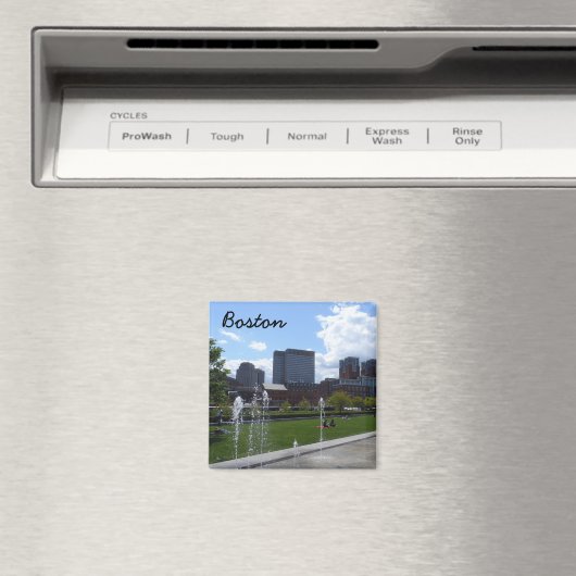 Boston Park Magneet (Insitu (Vaatwasser))