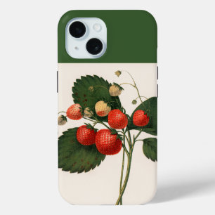Boston Pine Strawberry Hoesje-Mate iPhone C iPhone 15 Case