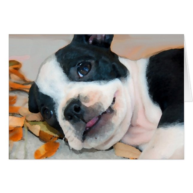 Boston Play (Voorkant Horizontaal)