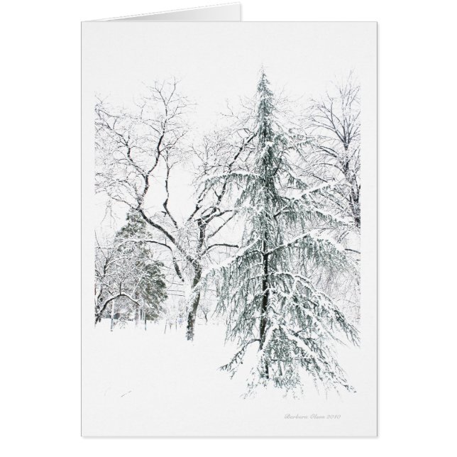 Boston Public Garden (Voorkant)