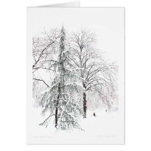 Boston Public Garden (Voorkant)