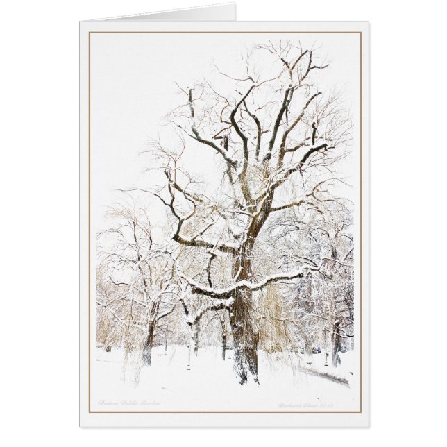 Boston Public Garden (Voorkant)