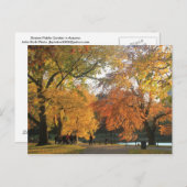 Boston Public Garden Autumn Briefkaart (Voorkant / Achterkant)