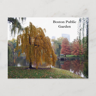 Boston Public Garden Briefkaart