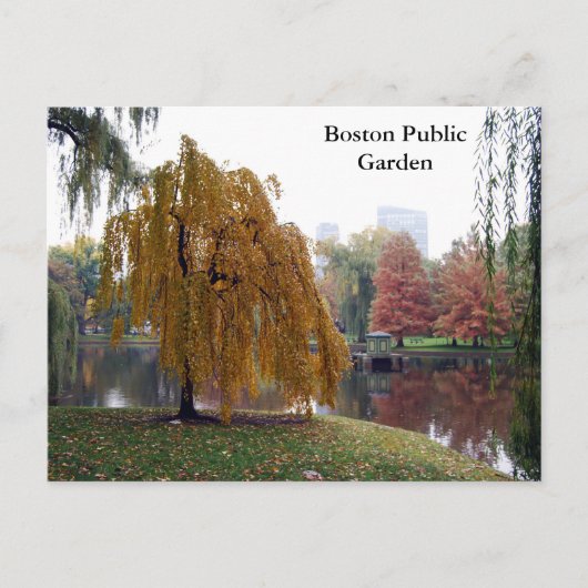 Boston Public Garden Briefkaart (Voorkant)