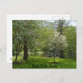 Boston Public Garden Briefkaart (Voorkant / Achterkant)