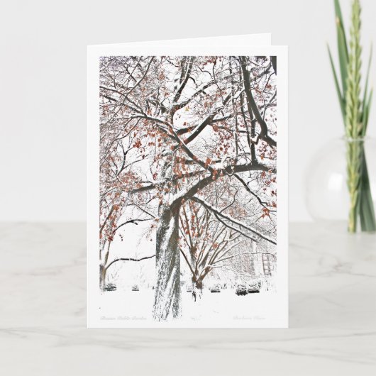 Boston Public Garden Feestdagen Kaart (Voorkant)