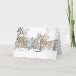 Boston Public Garden Feestdagen Kaart