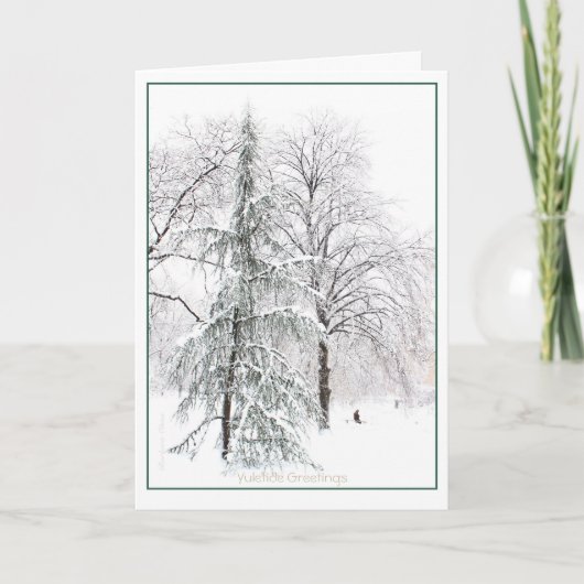 Boston Public Garden: Holiday Yuletide Feestdagen Kaart (Voorkant)