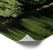 Boston Public Garden Poster (Hoek)