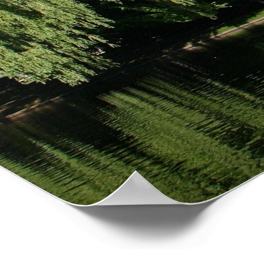 Boston Public Garden Poster (Hoek)