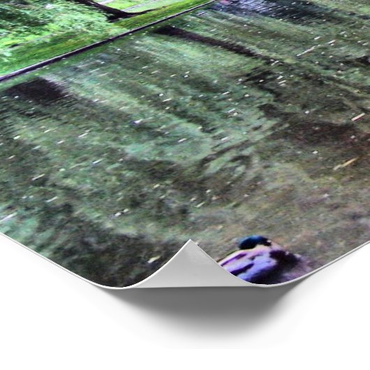 Boston Public Garden Poster (Hoek)