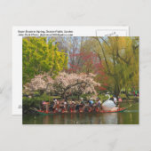 Boston Public Garden Swan Boat in het voorjaar Briefkaart (Voorkant / Achterkant)