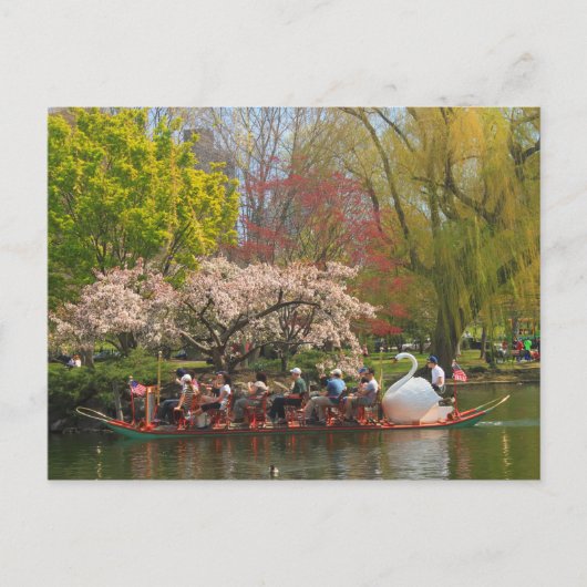Boston Public Garden Swan Boat in het voorjaar Briefkaart (Voorkant)