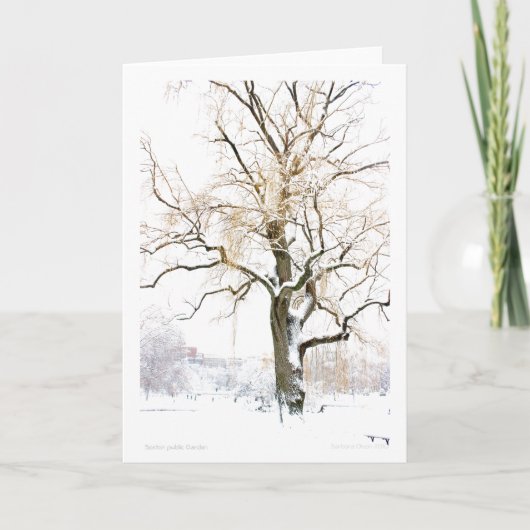 Boston Public Garden: voeg uw groet toe Kaart (Voorkant)