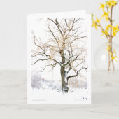 Boston Public Garden: voeg uw groet toe Kaart (Gele Bloem)