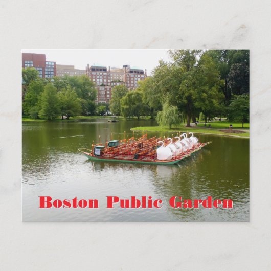 Boston Public Garden Zwaanboten Fotografisch Briefkaart (Voorkant)