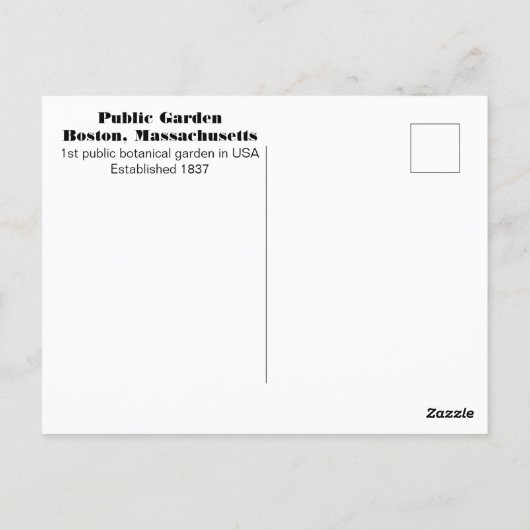 Boston Public Garden Zwaanboten Fotografisch Briefkaart (Achterkant)