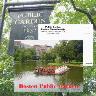 Boston Public Garden Zwanenboten Fotografisch Briefkaart