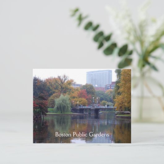 Boston Public Gardens Briefkaart (Staand voorkant)