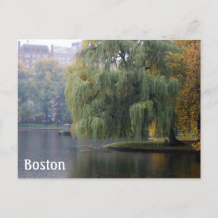 Boston Public Gardens Briefkaart