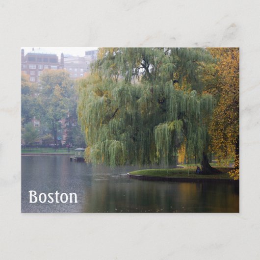 Boston Public Gardens Briefkaart (Voorkant)