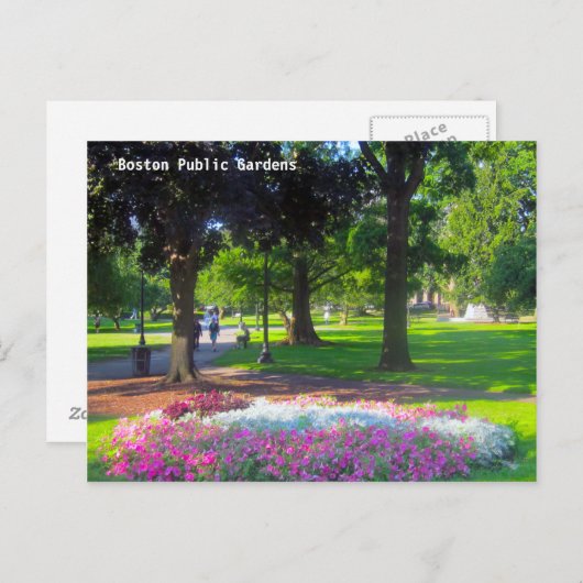 Boston Public Gardens Briefkaarten (Voorkant / Achterkant)