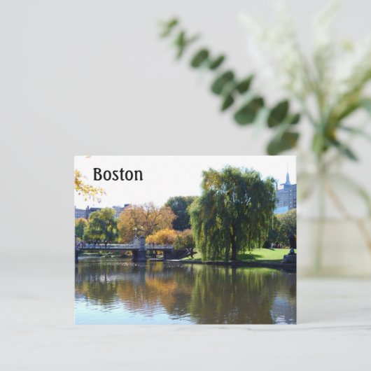 Boston Public Gardens, Massachusetts Briefkaart (Staand voorkant)