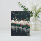 Boston Public Gardens Swan Boats Briefkaart (Staand voorkant)