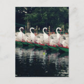 Boston Public Gardens Swan Boats Briefkaart (Voorkant)