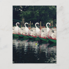 Boston Public Gardens Swan Boats Briefkaart