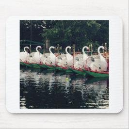 Boston Public Gardens Swan Boats Muismat