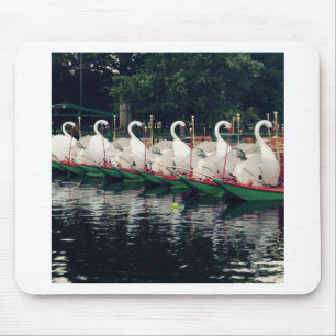 Boston Public Gardens Swan Boats Muismat