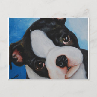 Boston Pup.jpg Briefkaart