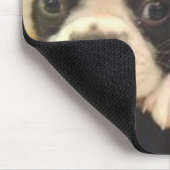 Boston Pups Mousepad Muismat (Hoek)