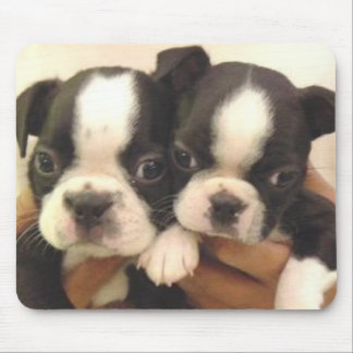 Boston Pups Mousepad Muismat