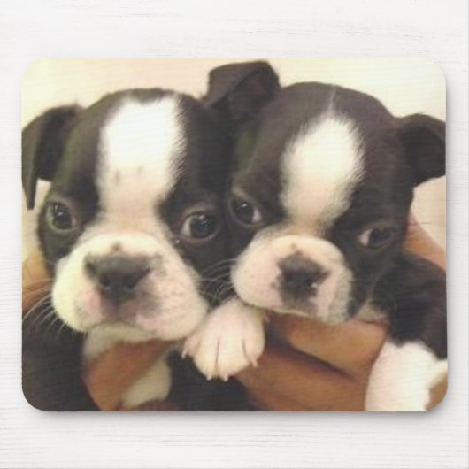Boston Pups Mousepad Muismat (Voorkant)