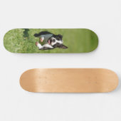 Boston Running Skateboard (Horizontaal)